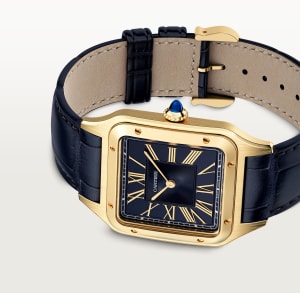 Santos de Cartier
,
