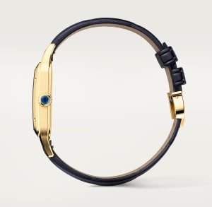Santos de Cartier
,