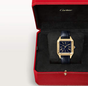 Santos de Cartier
,