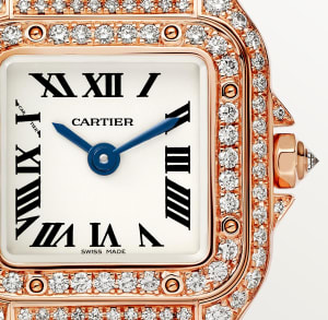 Panthère de Cartier
,