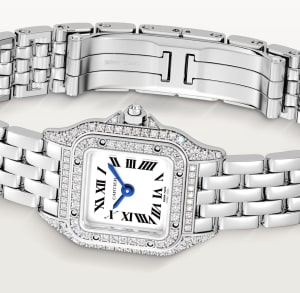 Panthère de Cartier
,