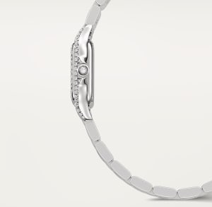 Panthère de Cartier
,