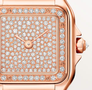 Panthère de Cartier
,