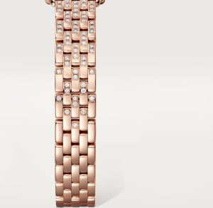 Panthère de Cartier
,