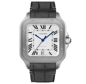 Cartier Santos de Cartier in Titan, WSSA0089 - Bucherer