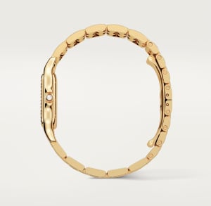 Panthère de Cartier
,