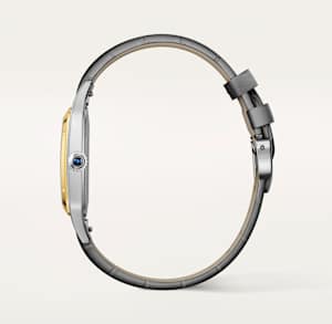 Cartier Santos de Cartier in Bicolour, W2SA0046 - Bucherer