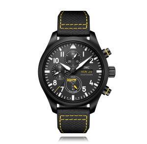 Pilot ,
