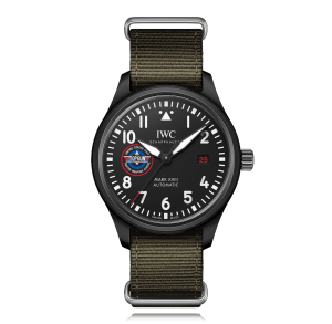 Pilot ,