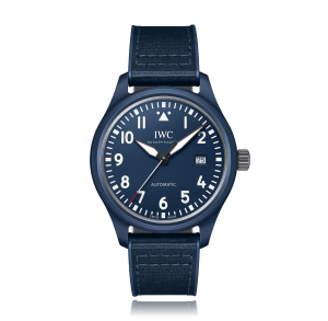 Pilot ,