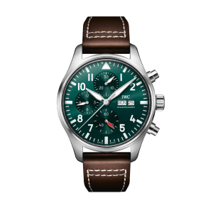 Pilot
,