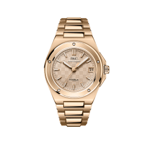 Ingenieur
,