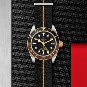 Black Bay GMT S&G
,