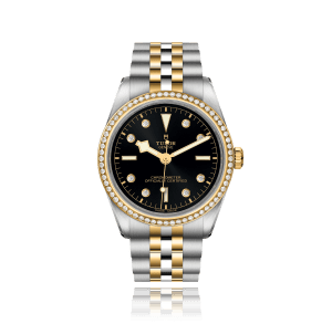 Black Bay 36 S&G
,