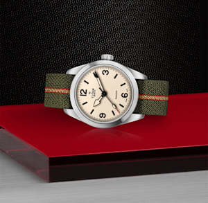 Tudor Ranger in Stainless steel, M79950-0011 - Bucherer