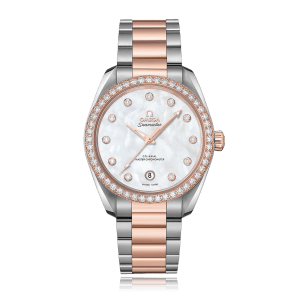 OMEGA Seamaster in Bicolor, 220.25.38.20.55.001 - Bucherer
