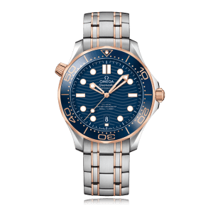 Omega Seamaster in Bicolour, 210.20.42.20.03.002 - Bucherer