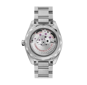 Seamaster Aqua Terra, 