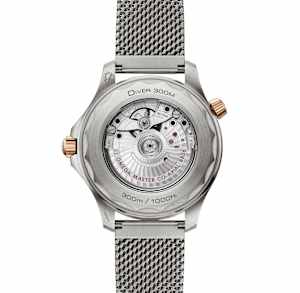 Omega Seamaster in , 210.90.42.20.10.001 - Bucherer