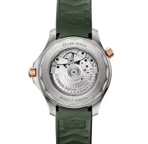 Omega Seamaster in , 210.92.42.20.10.001 - Bucherer