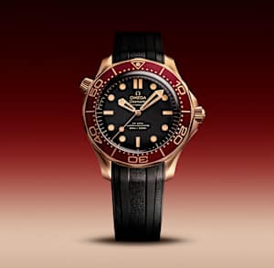 Omega Seamaster in , 210.92.42.20.01.003 - Bucherer
