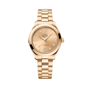 Seamaster Aqua Terra
,