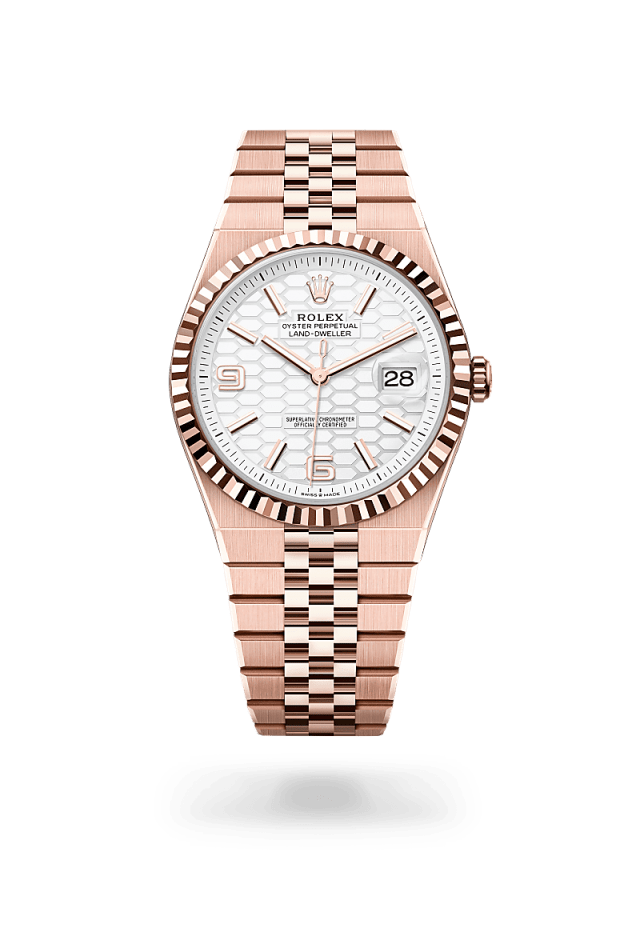 Rolex Land-Dweller 40 in 18 ct Everose gold, M127335-0001 - Bucherer
