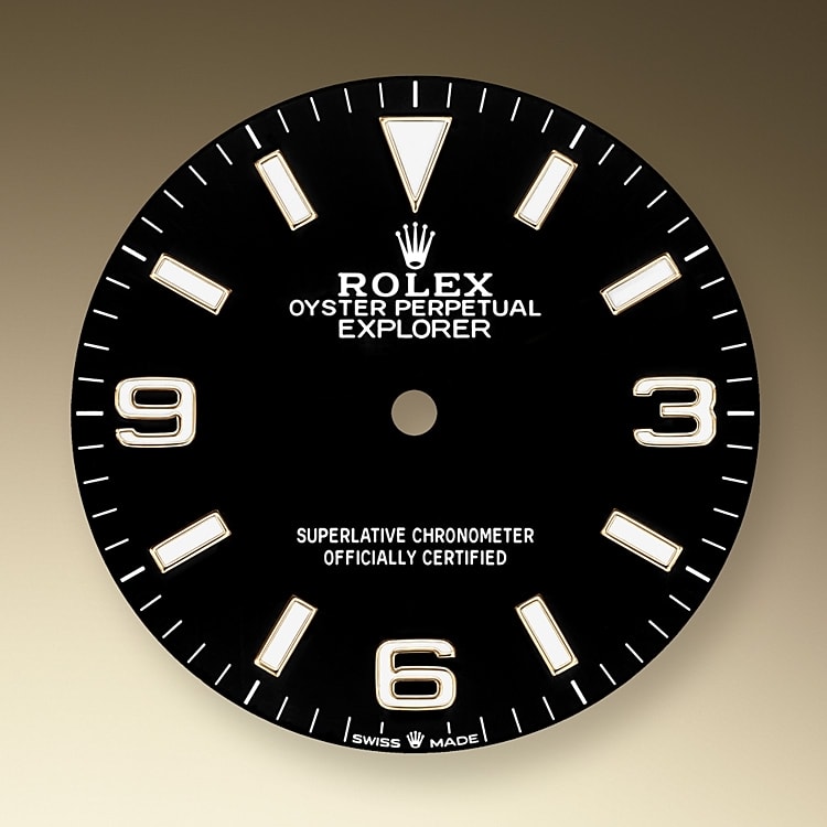 Rolex Explorer 36 in Yellow Rolesor 