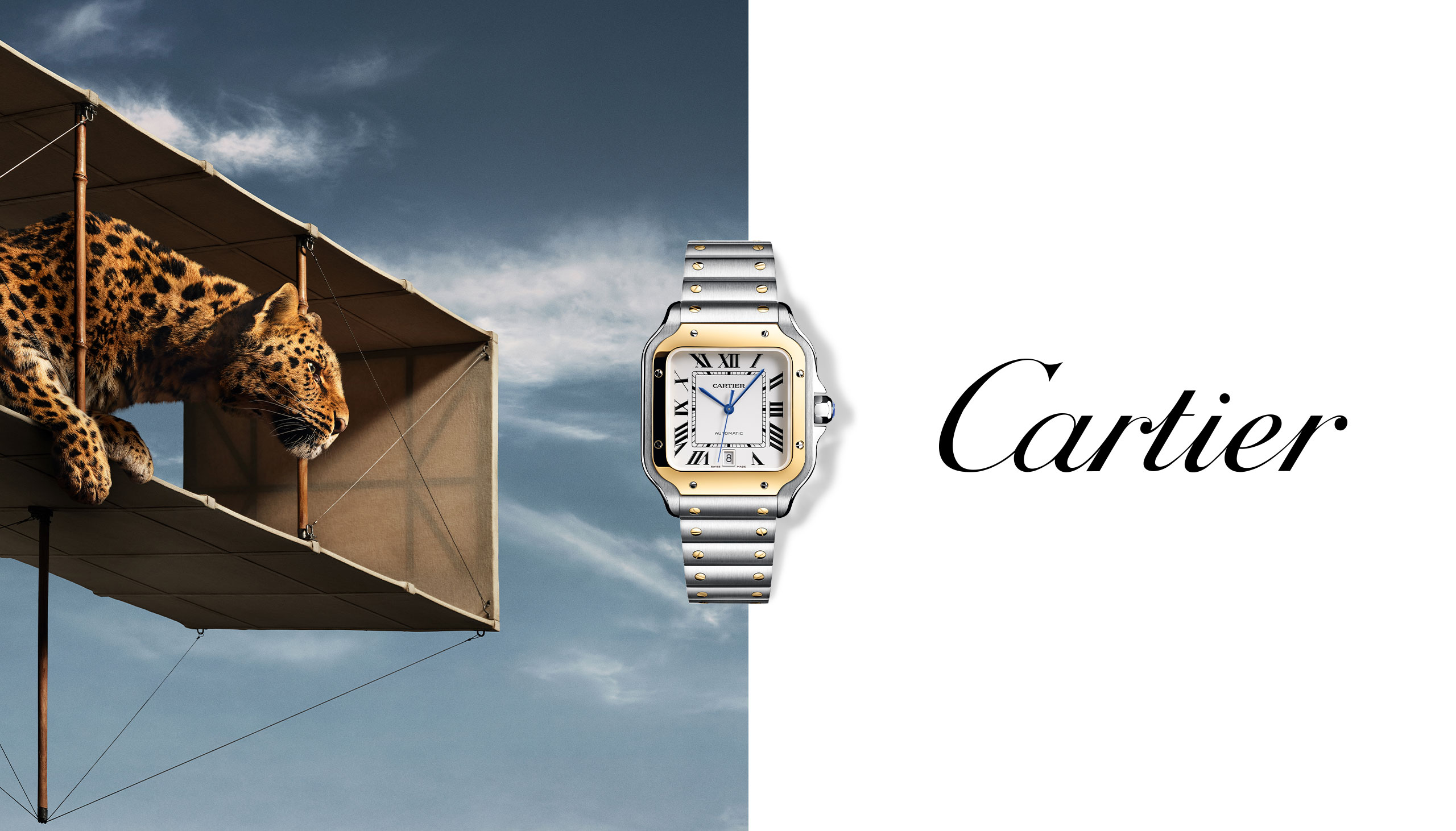Collage of Cartier watch models including Santos, Tank, Ballon Bleu and Pasha, featuring distinctive cases and Roman numerals