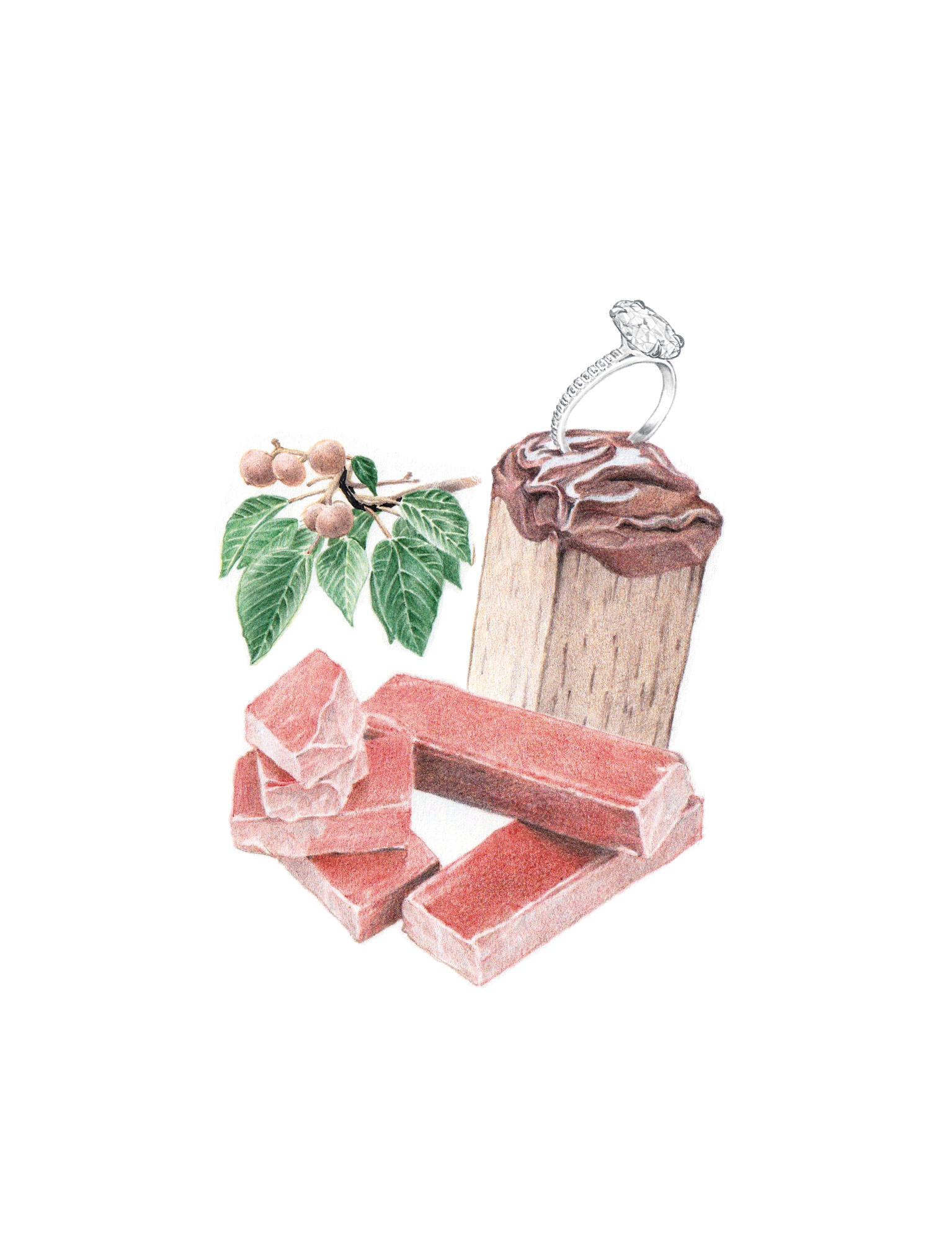 2025-Magazine-BFJ-3x4-Shellac