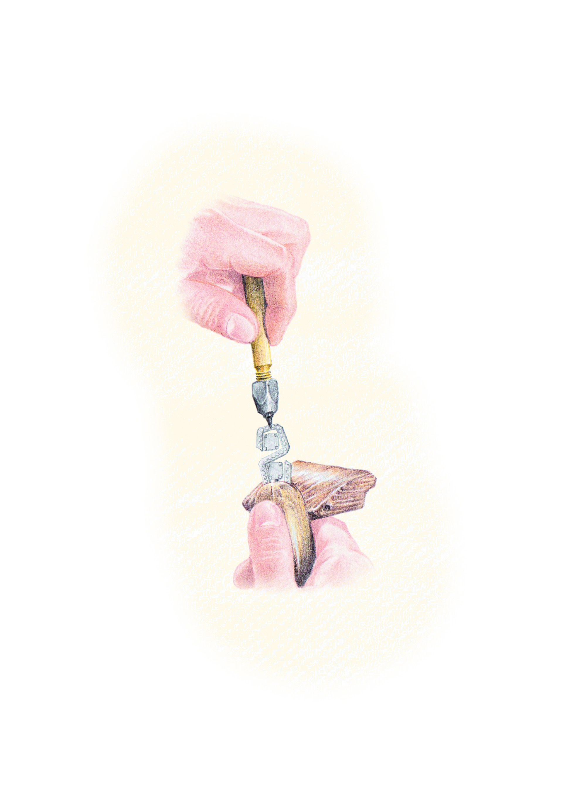 Illustration by Alexandre Luu