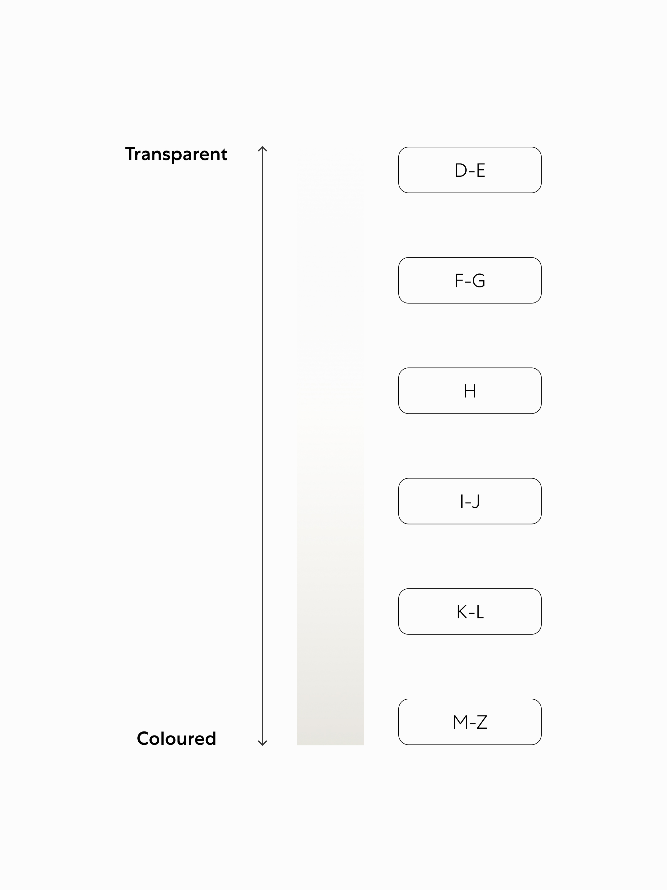 2025-Magazine-BFJ-3x4-4cs-colour-grey-2