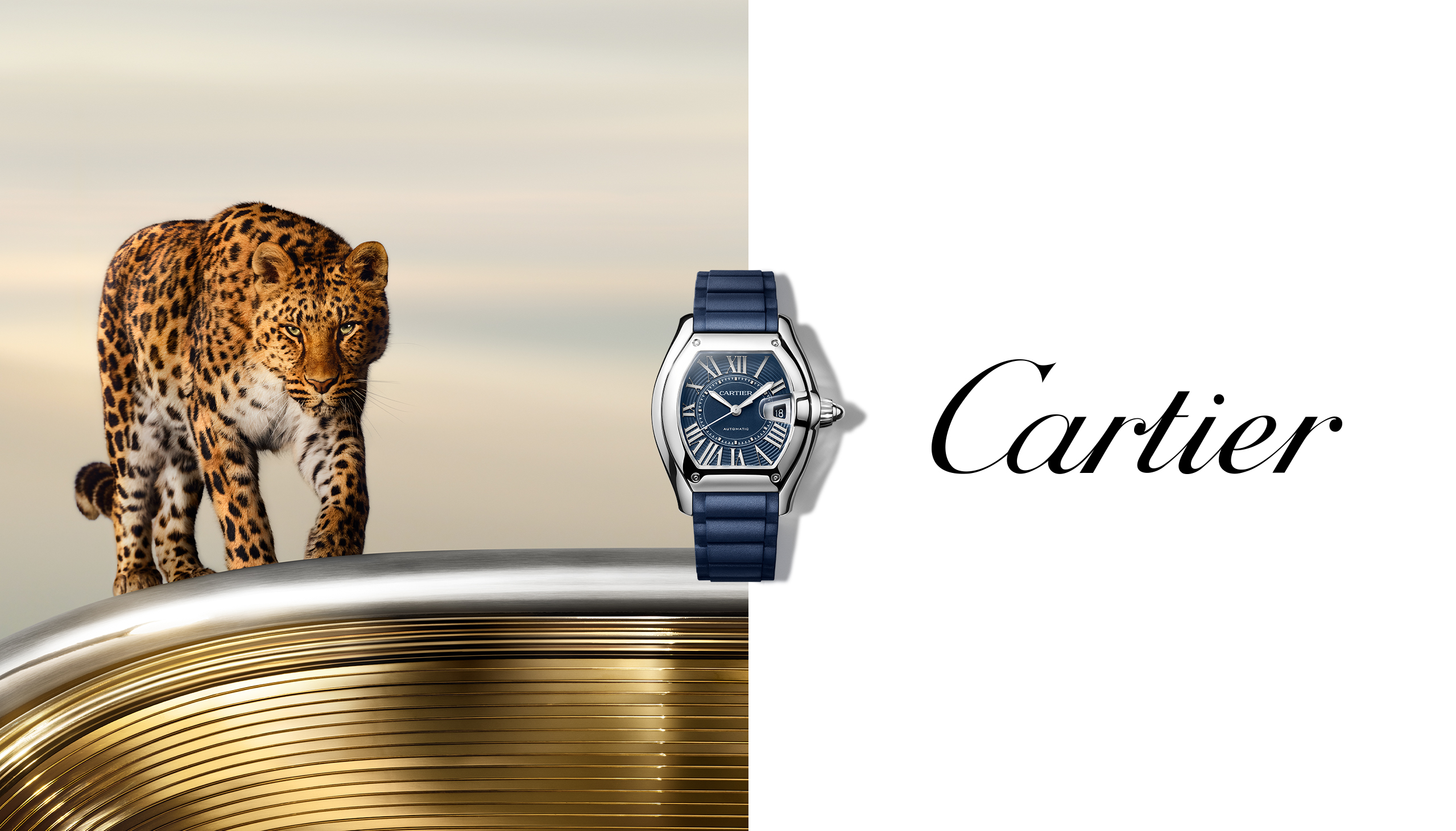 Collage of Cartier watch models including Roadster, Santos, Tank, Ballon Bleu and Pasha, featuring distinctive cases and Roman numerals