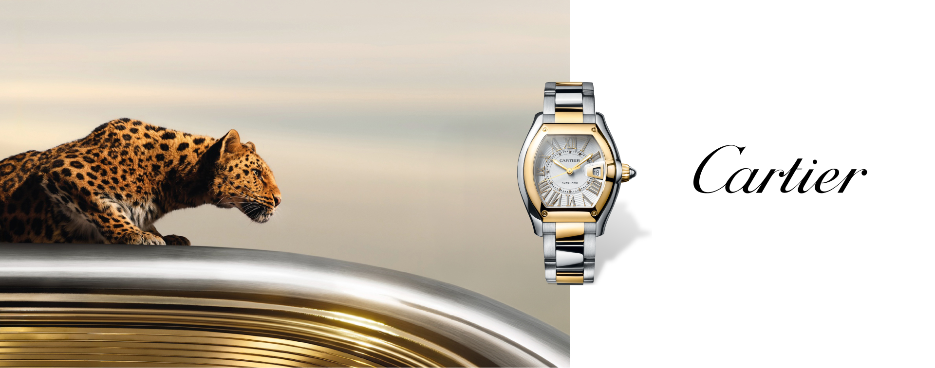 Collage of Cartier watch models including Roadster, Santos, Tank, Ballon Bleu and Pasha, featuring distinctive cases and Roman numerals