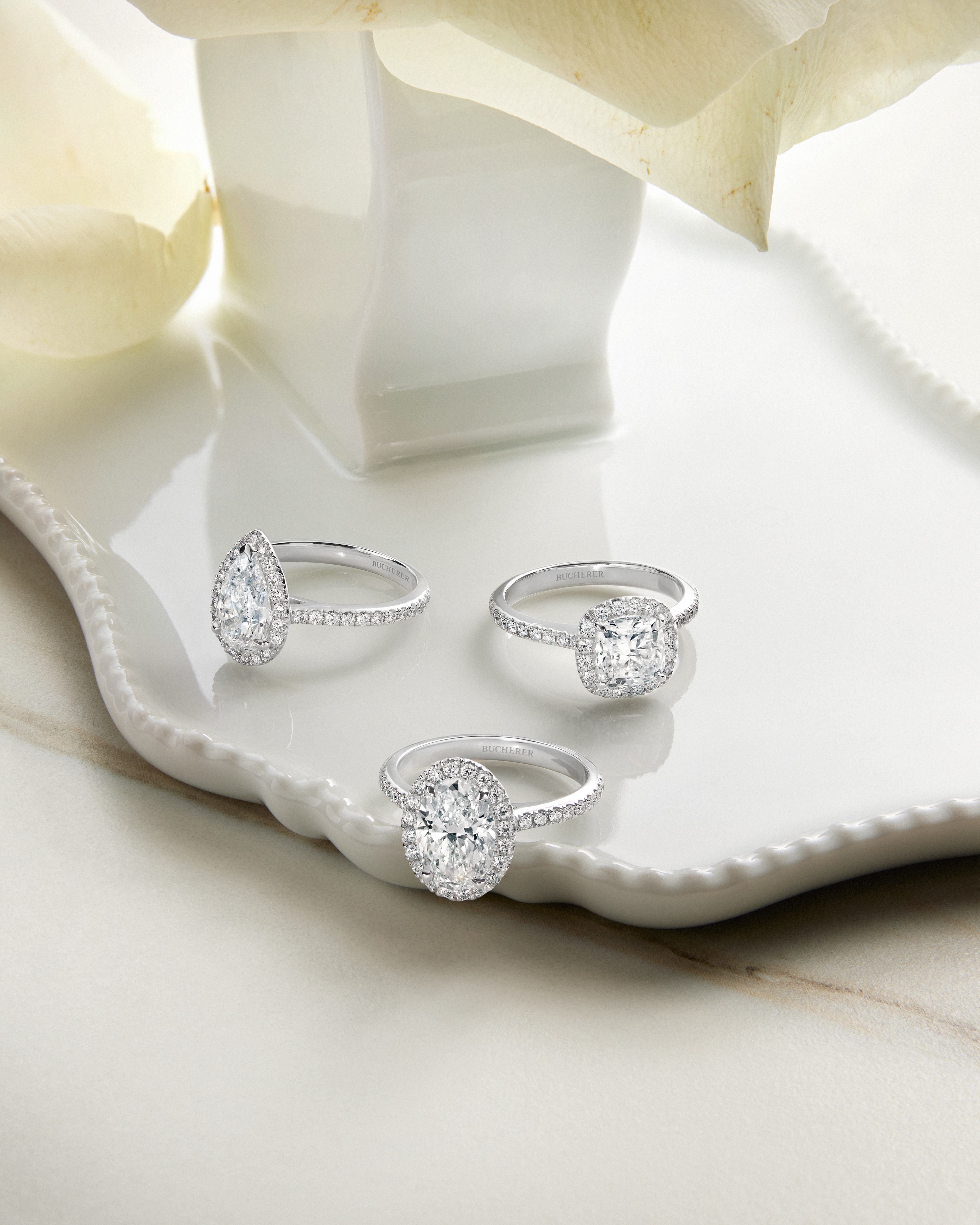 Three diamond halo engagement rings in pear, cushion, and oval cuts rest on a white ceramic dish.