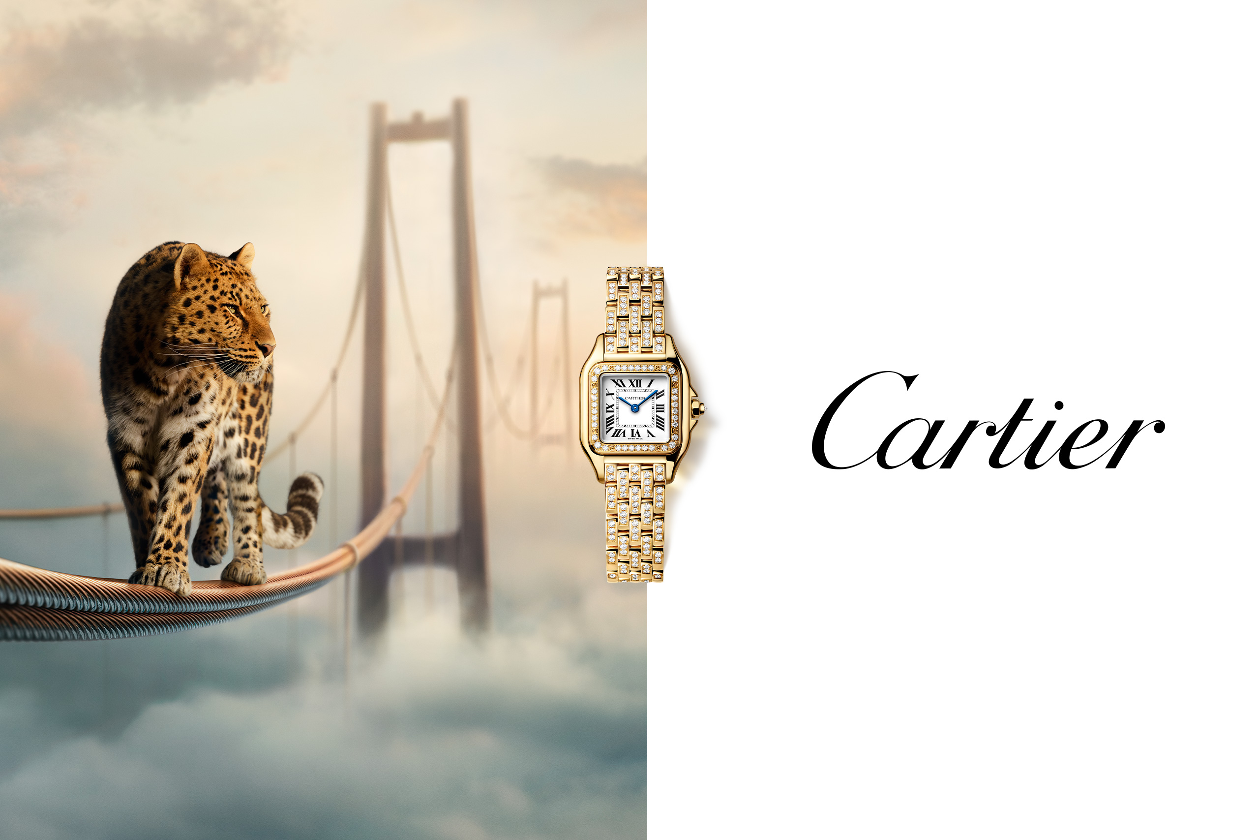 Collage of Cartier watch models including Santos, Tank, Ballon Bleu and Pasha, featuring distinctive cases and Roman numerals